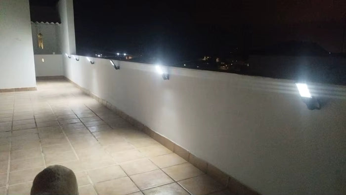 Fernanda P.