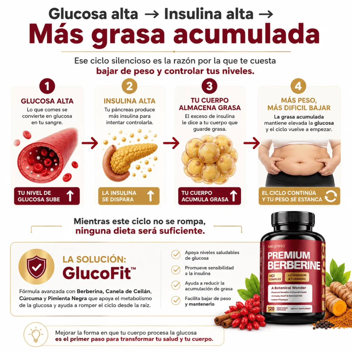 GlucoFit™ Menos glucosa, menos peso - BERBERINA PREMIUM
