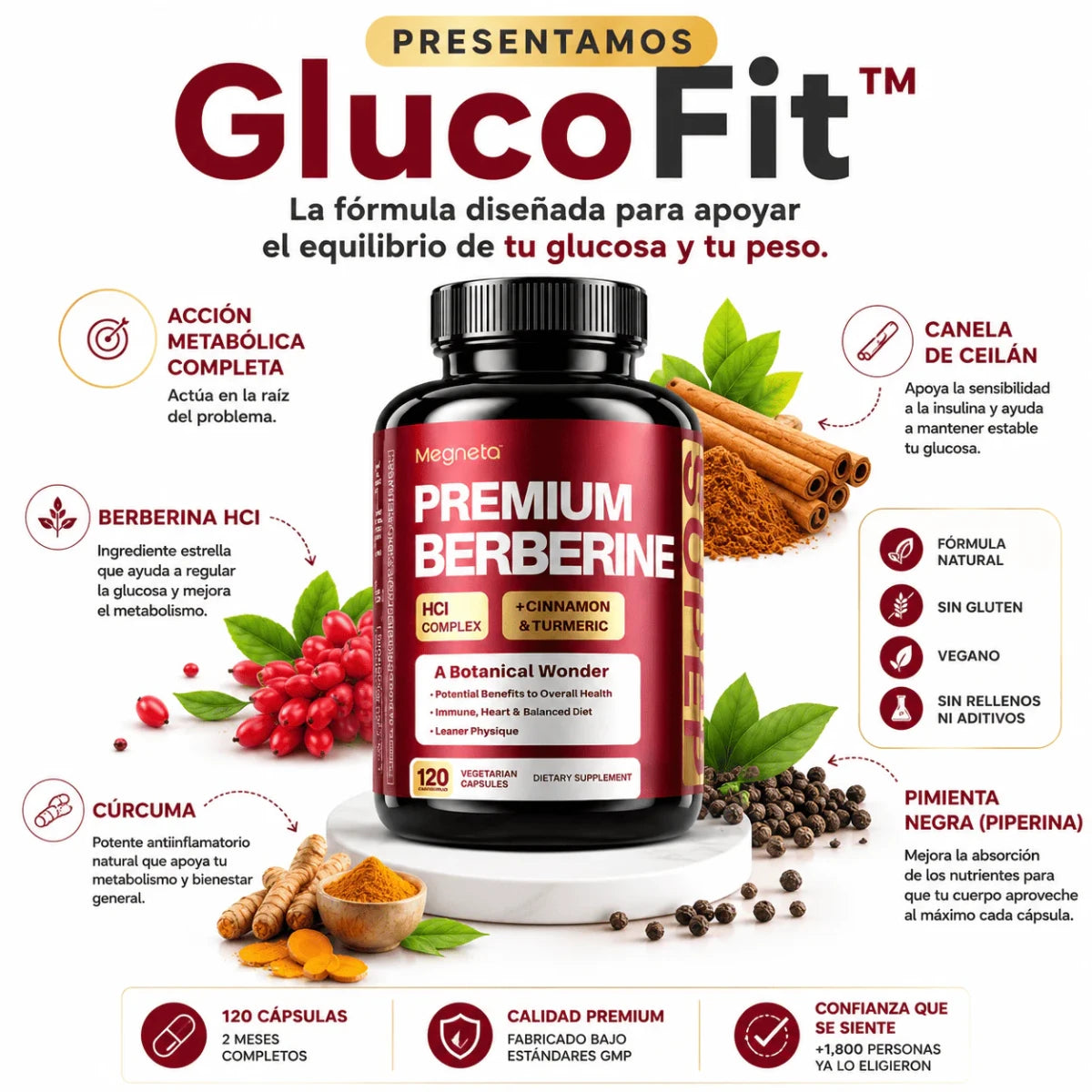 GlucoFit™ Menos glucosa, menos peso - BERBERINA PREMIUM