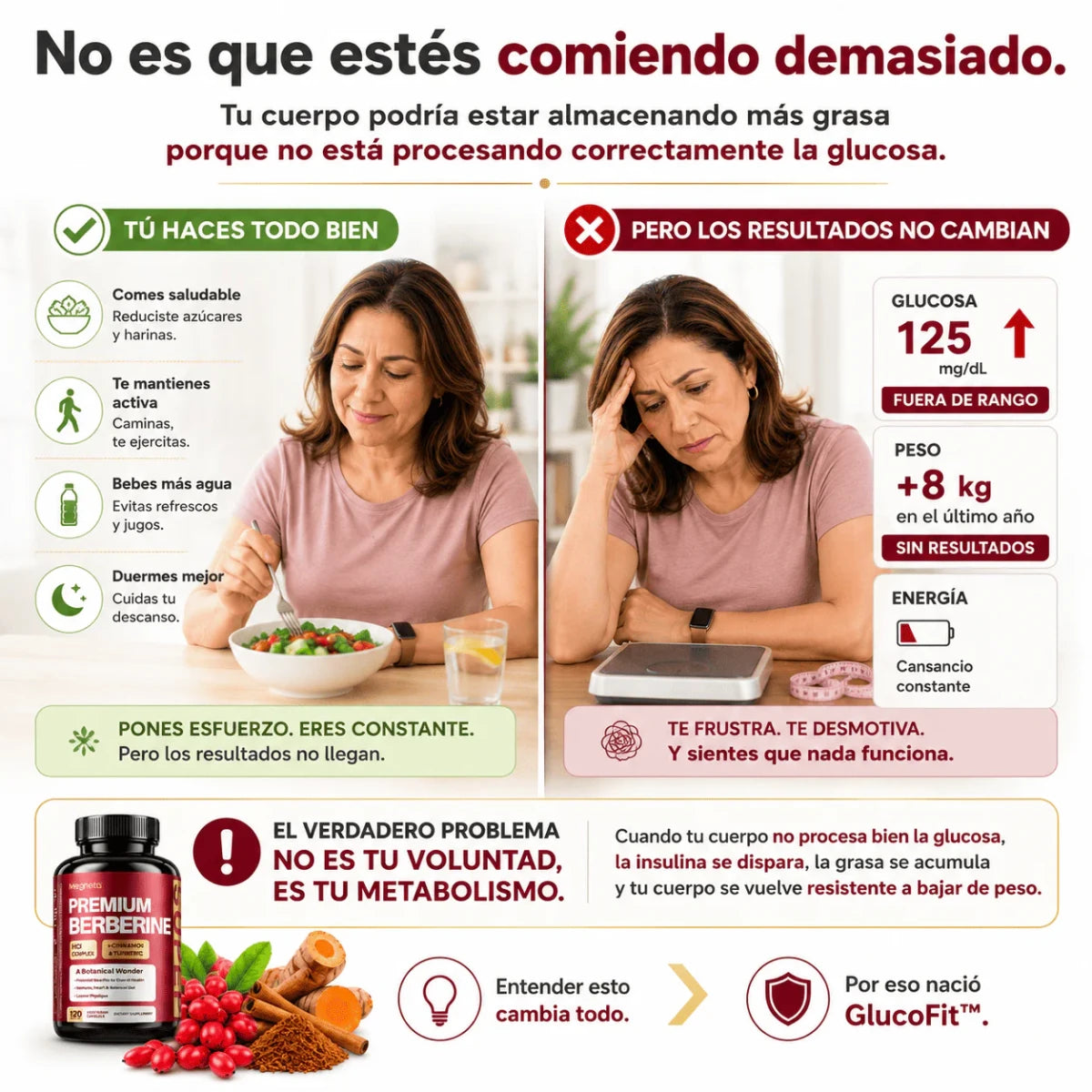 GlucoFit™ Menos glucosa, menos peso - BERBERINA PREMIUM